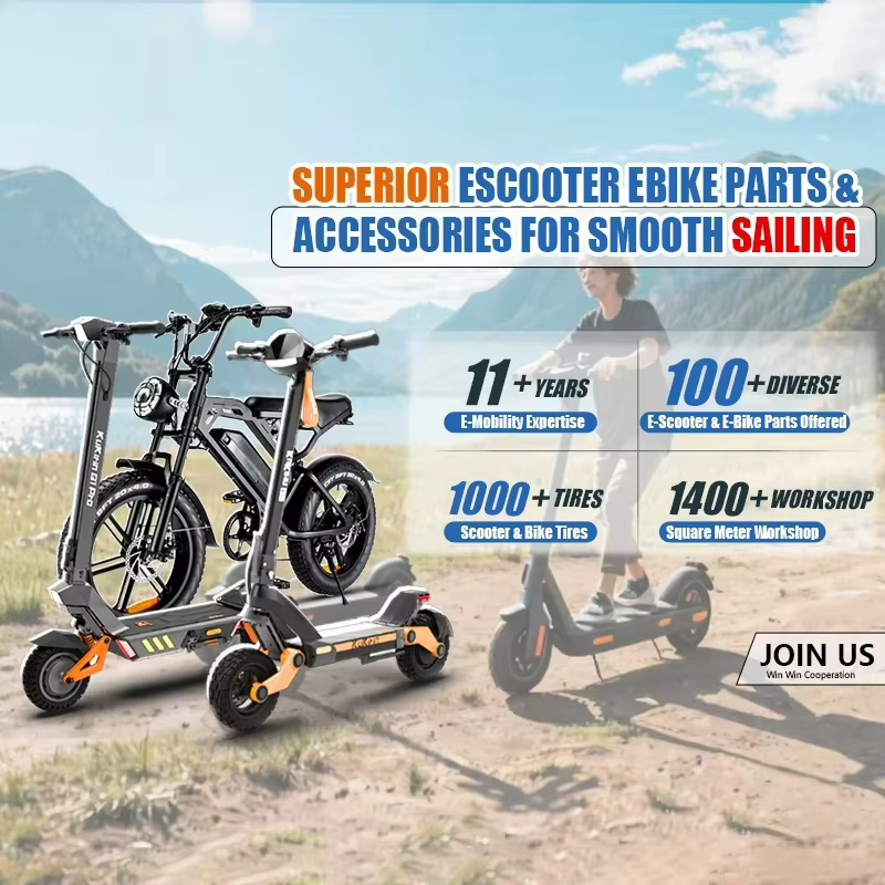 Accessoires Fatbike V20