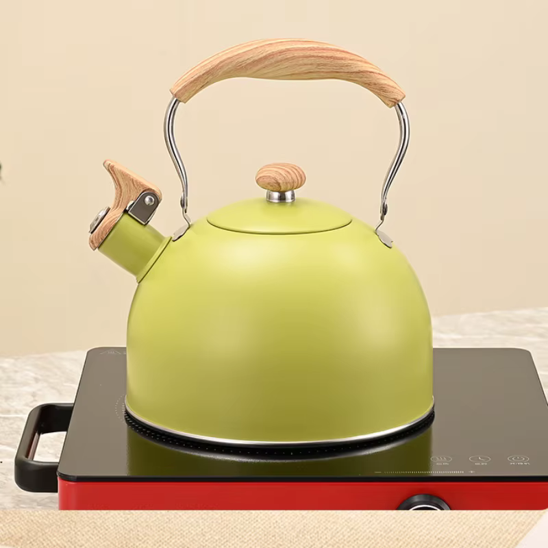 Bouilloire à sifflet en acier inoxydable, pour eau bouillante, théière de Camping, poignée pliante, théières pour faire bouillir l'eau, cuisinière à gaz