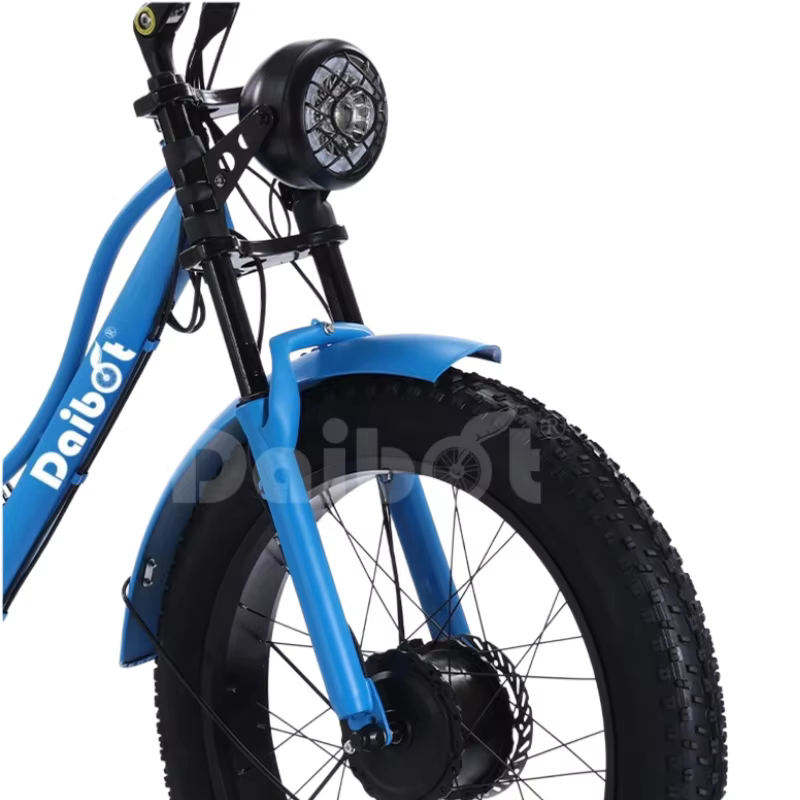 Tricycle électrique Cargo gros vélo pour deux personnes 2 places 750W 48V hors route puissant