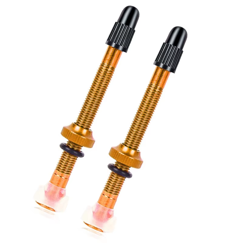 H9EE 2x tiges Valves pneus sous vide pour vélos assurant une étanchéité étanche une conduite sûre