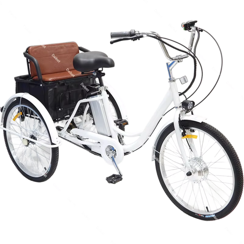Vélo électrique Cargo à trois roues pour adultes âgés e vélos 350W Tricycle