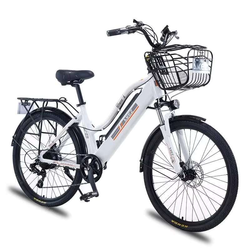 Vélo électrique adulte 2 places 26 pouces 350W 36V