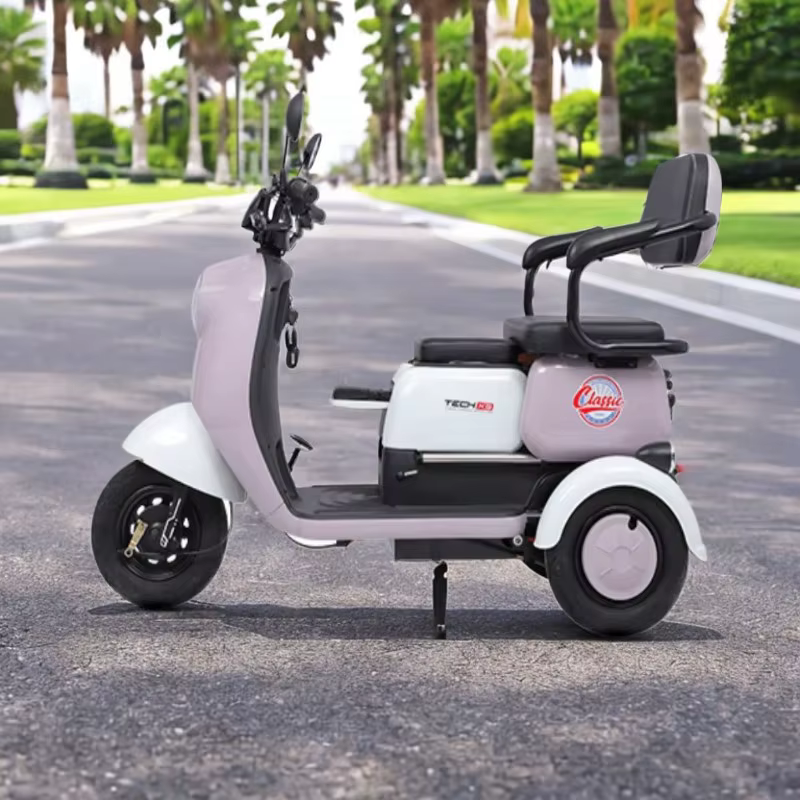 Scooter de mobilité rose Parent enfant 3 places 800w60v 3 roues avec siège