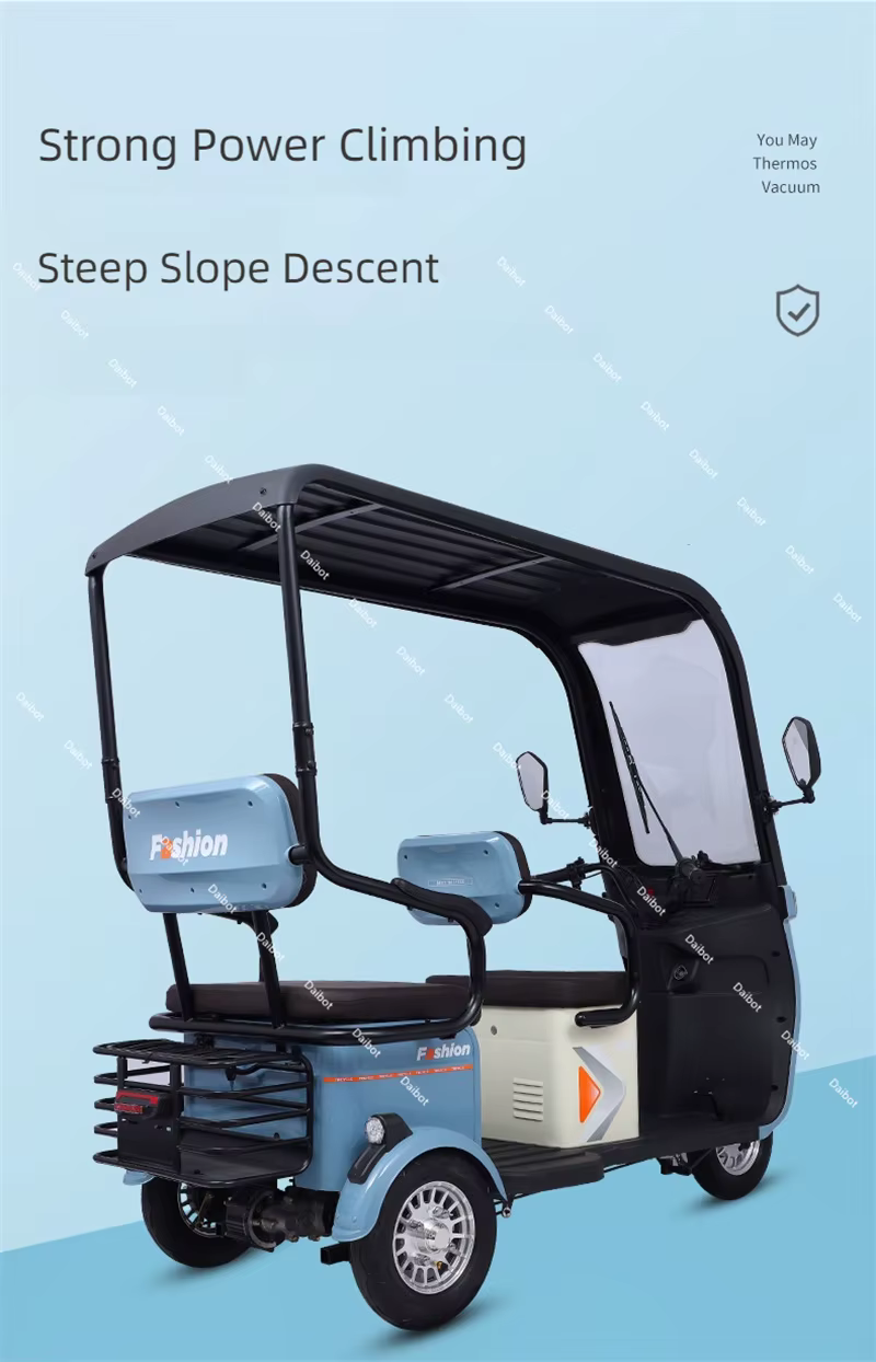 Tricycle électrique à 3 roues pour adulte