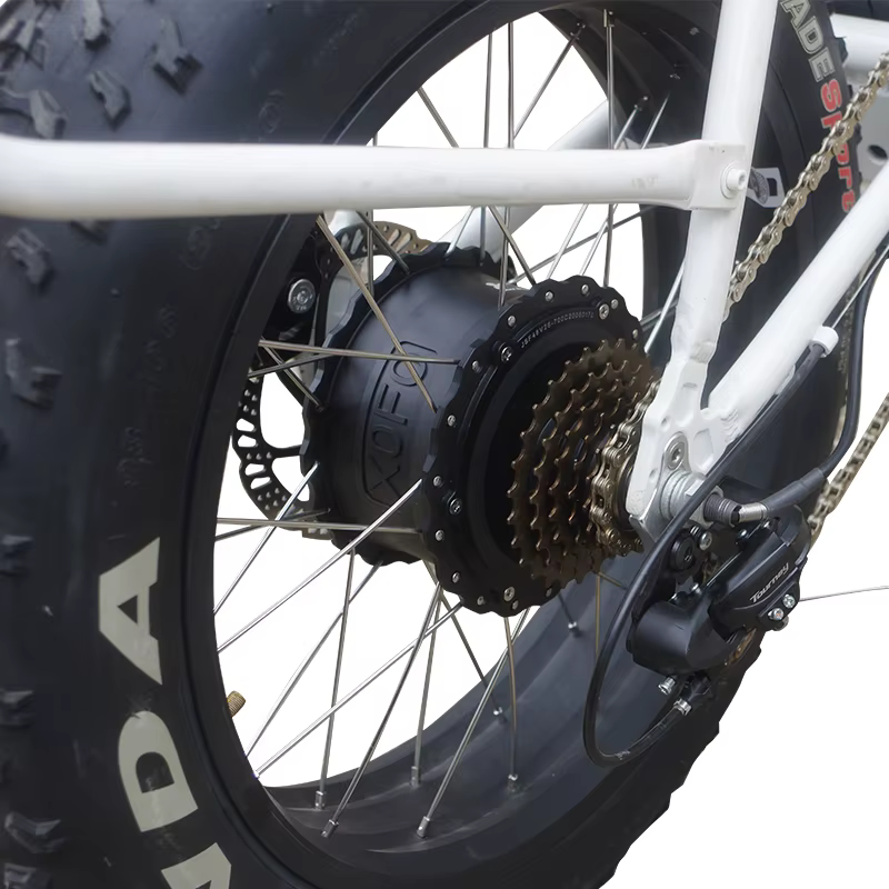 Gros moteur 48V 1000W moteur de roue libre arrière à engrenage sans brosse pour gros vélo électrique neige e-bike 170mm 190mm taille de fourche 20 "26" pneu