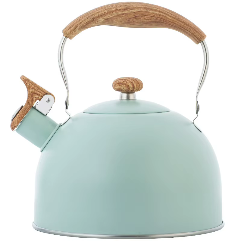 Bouilloire à sifflet en acier inoxydable, pour eau bouillante, théière de Camping, poignée pliante, théières pour faire bouillir l'eau, cuisinière à gaz