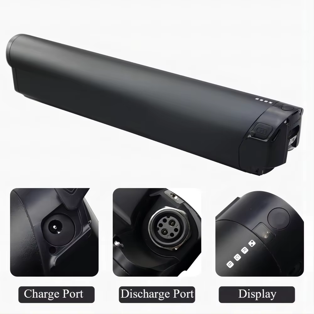 Batterie de remplacement 36V Reention EEL Pro