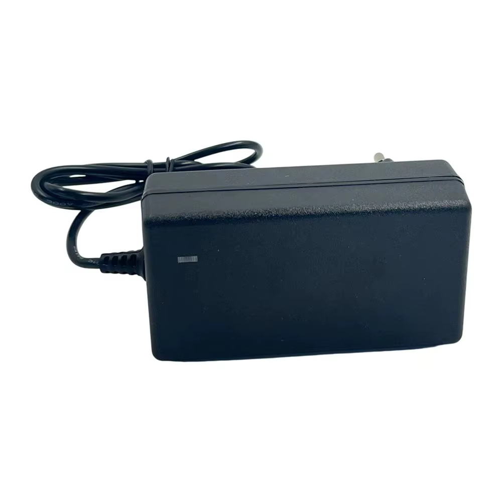 Chargeur de Scooter électrique 24.2V 1