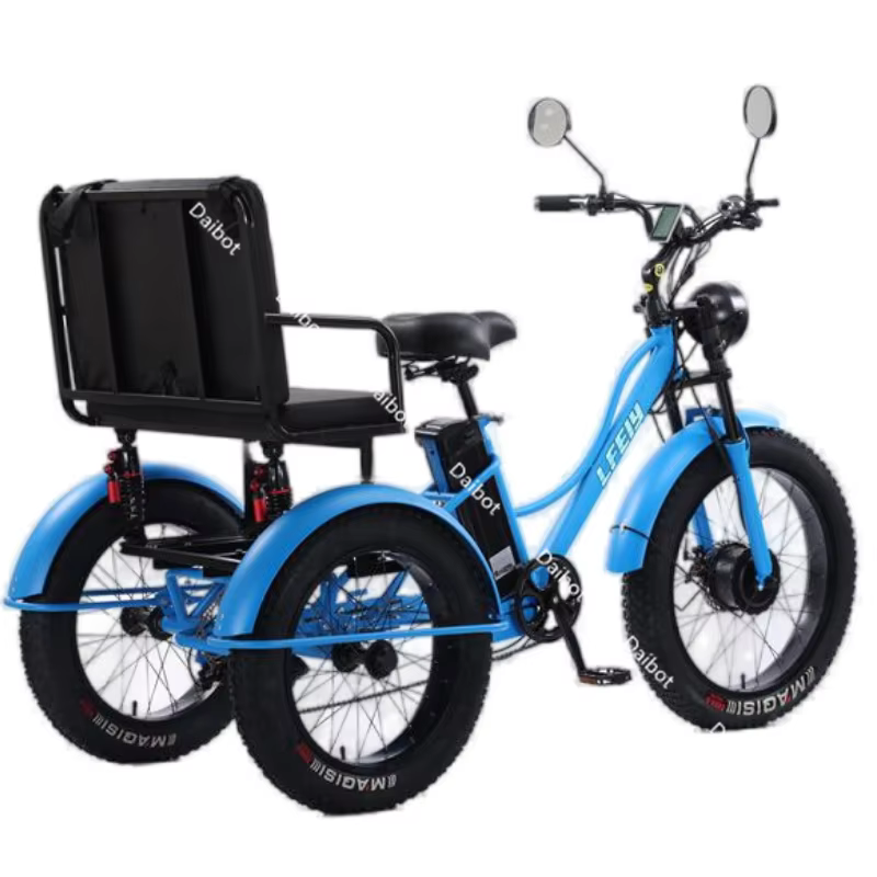 Nouveau vélo électrique familial Cargo 3 places pour adultes avec siège arrière tout Terrain 750W 48V Tricycle