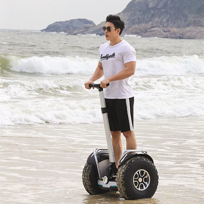 Daibot hors route adulte Scooter électrique 19 pouces auto équilibrage Scooters 1200W * 2