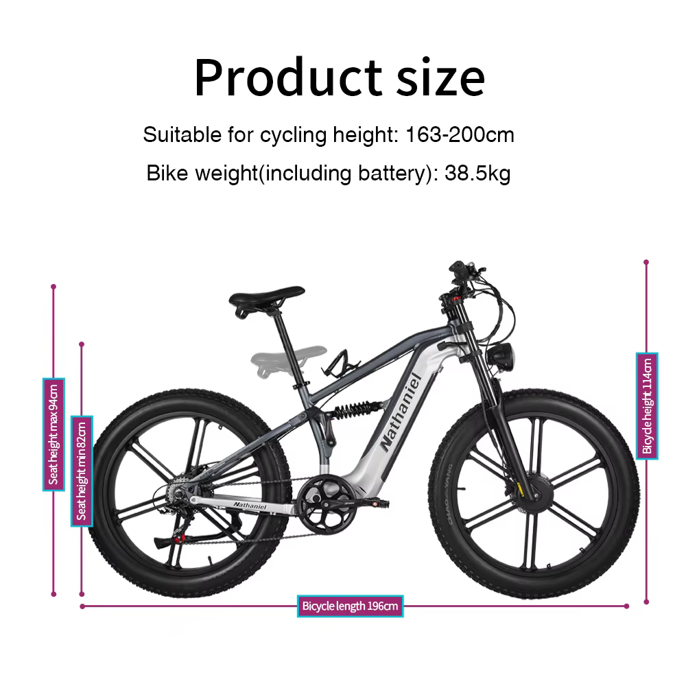 Nathaniel SYR09 vélo électrique 2000W double moteur
