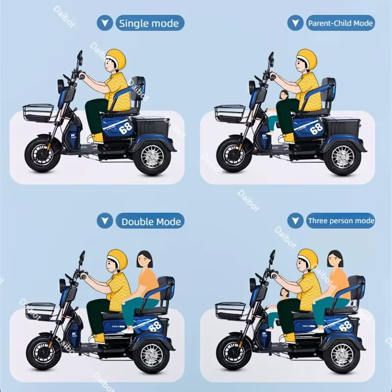 Tricycle électrique adulte 48V 600W