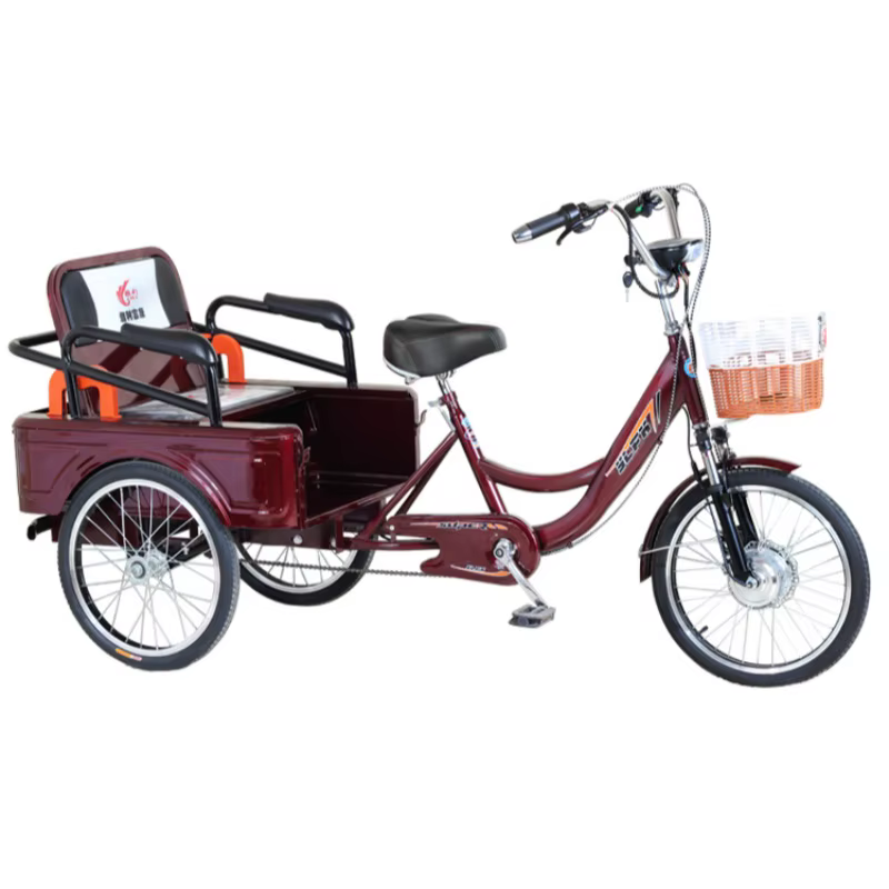 Tricycle Électrique avec Siège Passager pour Adulte
