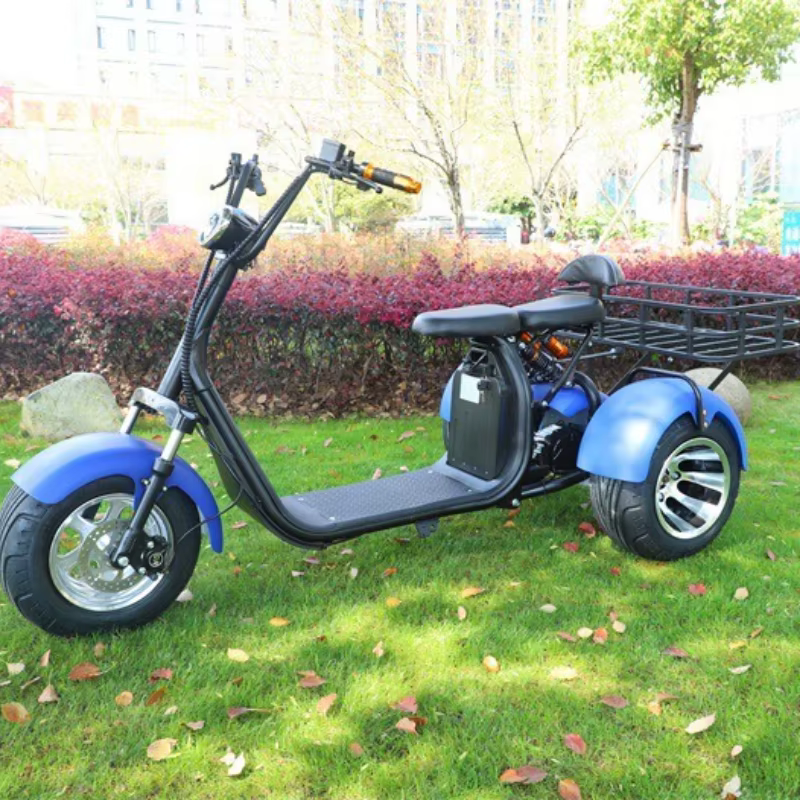 2000W moteur Tricycle électrique neige large pneu adulte déplacements loisirs mobilité Scooter siège confortable panier