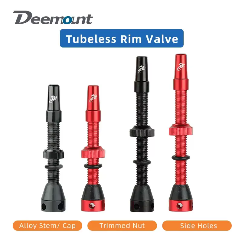 Valve Tubeless F/V pour vélo