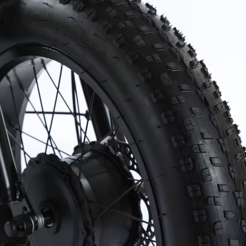 Tricycle électrique à 3 roues pour adultes