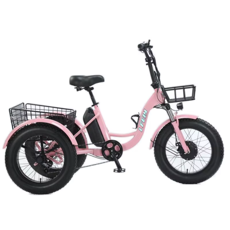 Nouveau 3 roues gros pneu adulte vélo électrique femmes ville 500W 20 pouces famille Cargo Tricycle