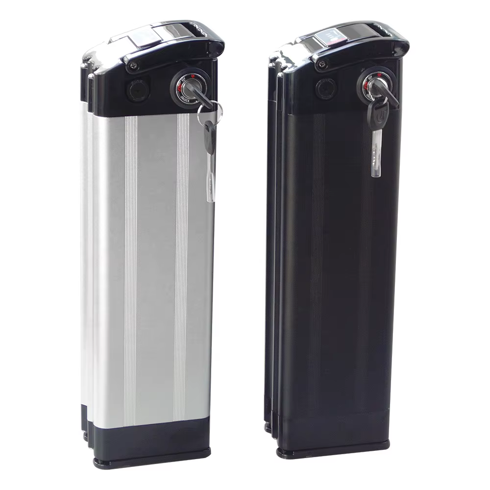 Batterie aux ions Eddie pour vélo électrique