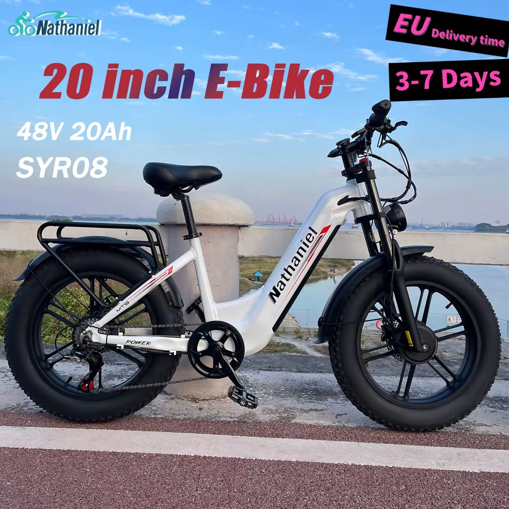Roue intégrée à double entraînement pour vélo électrique 2000W 20x4.0