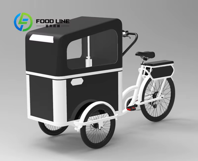 Vélo cargo à pédale électrique à 3 roues avec moteur arrière pour transporter des vélos électriques pour animaux de compagnie