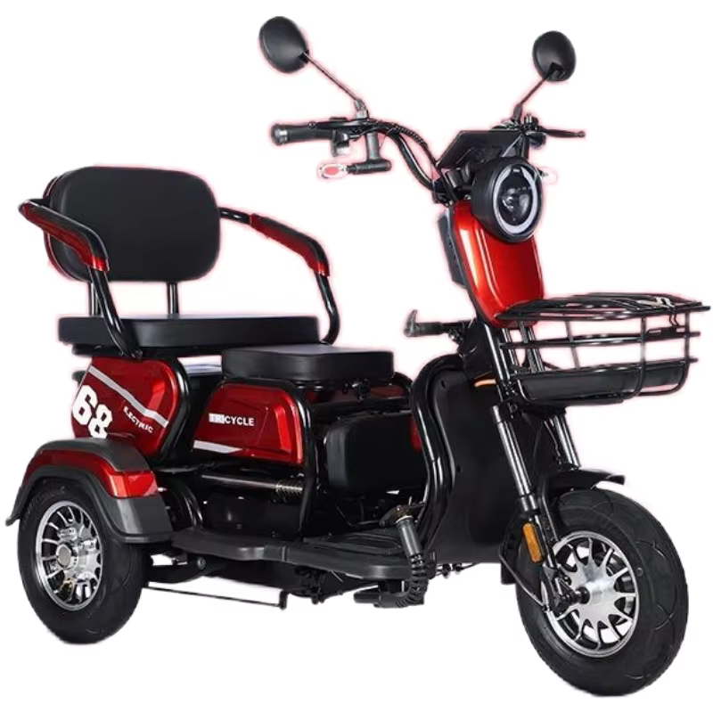Tricycle électrique adulte Senior avec siège passager 600W 48V 20AH famille tout Terrain Scooter