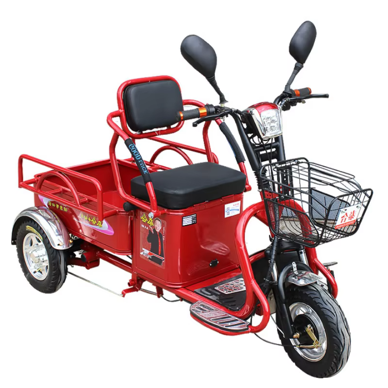 Tricycle électrique puissant pour adultes