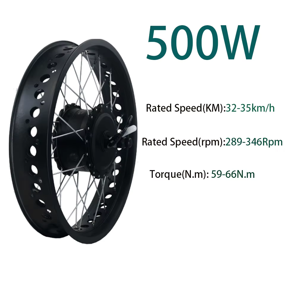 Vélo électrique Fat Bike 36V 48V 500W 750W