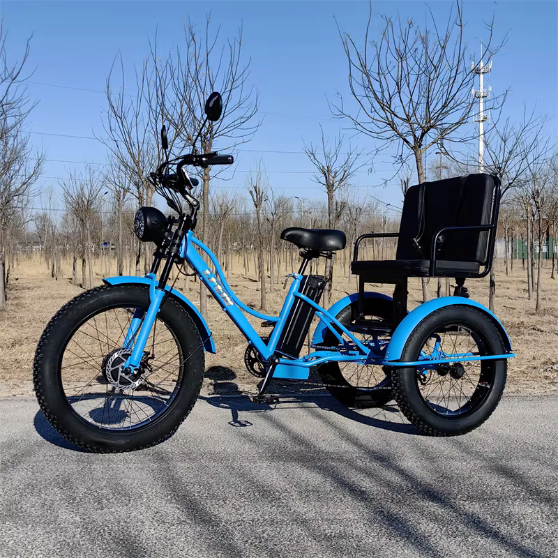 Vélo électrique de montagne à 3 roues 750w
