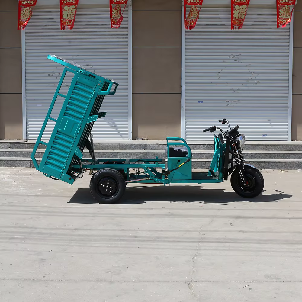 Nouveau tricycle électrique 1000W pour usage familial