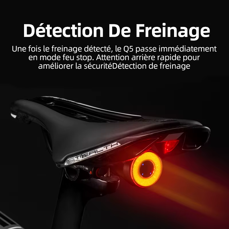 ROCKBROS vélo intelligent frein automatique détection lumière IPx6 étanche LED charge cyclisme feu arrière