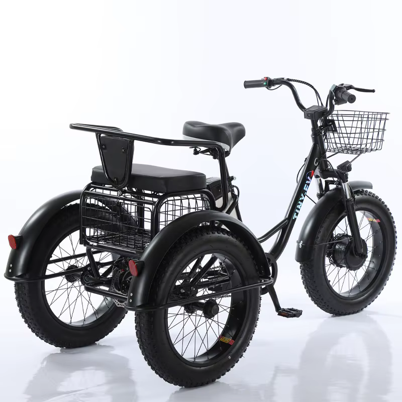 Tricycle électrique à 3 roues de vélo