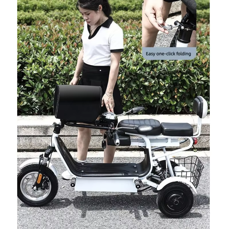 Tricycle électrique à double moteur 500W à 3 roues