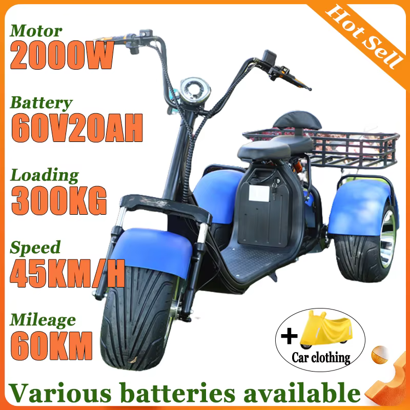 2000W moteur Tricycle électrique neige large pneu adulte déplacements loisirs mobilité Scooter siège confortable panier