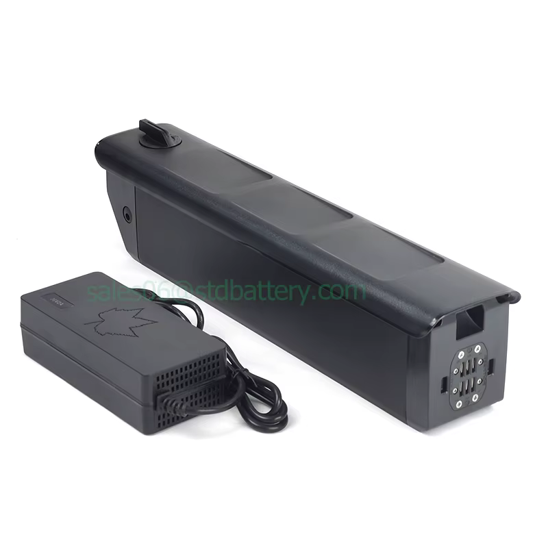 Batterie Lithium-ion 48v ebike 17.5Ah