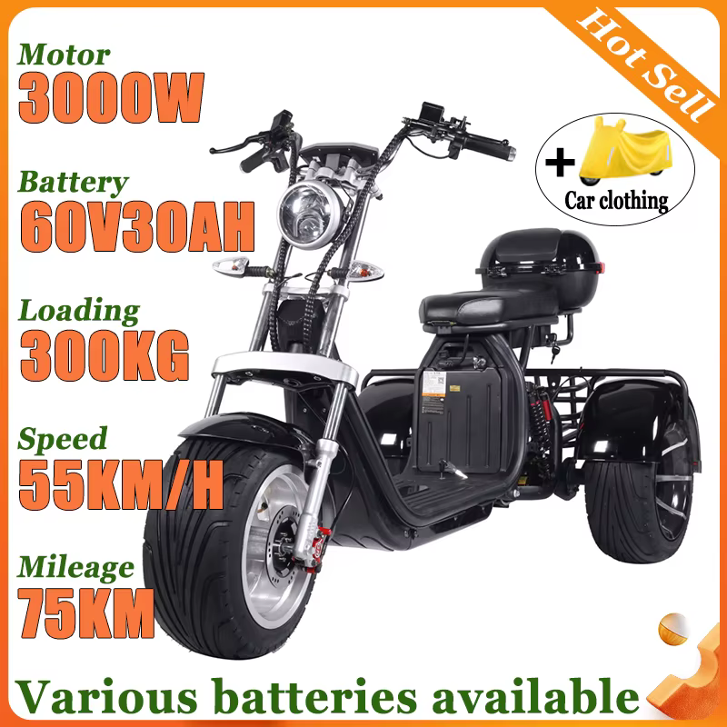 Tricycle électrique adulte 3 roues Scooter