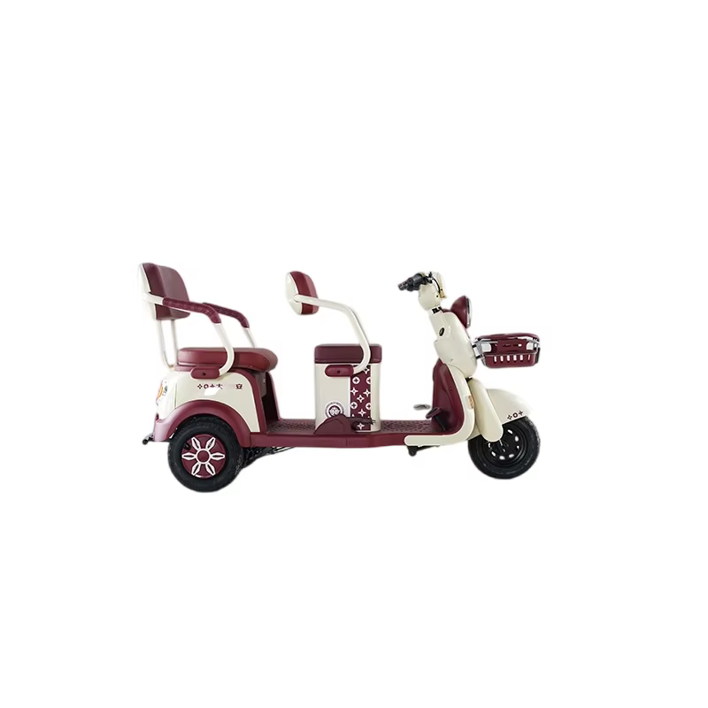Tricycle électrique 60V
