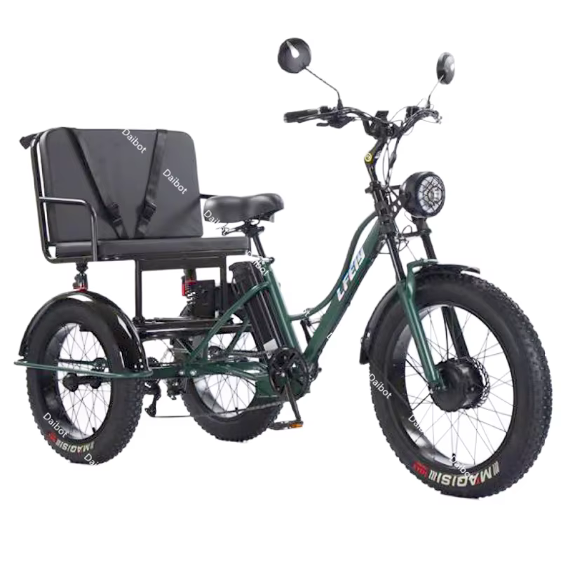 Vélo électrique de montagne à 3 roues 750w