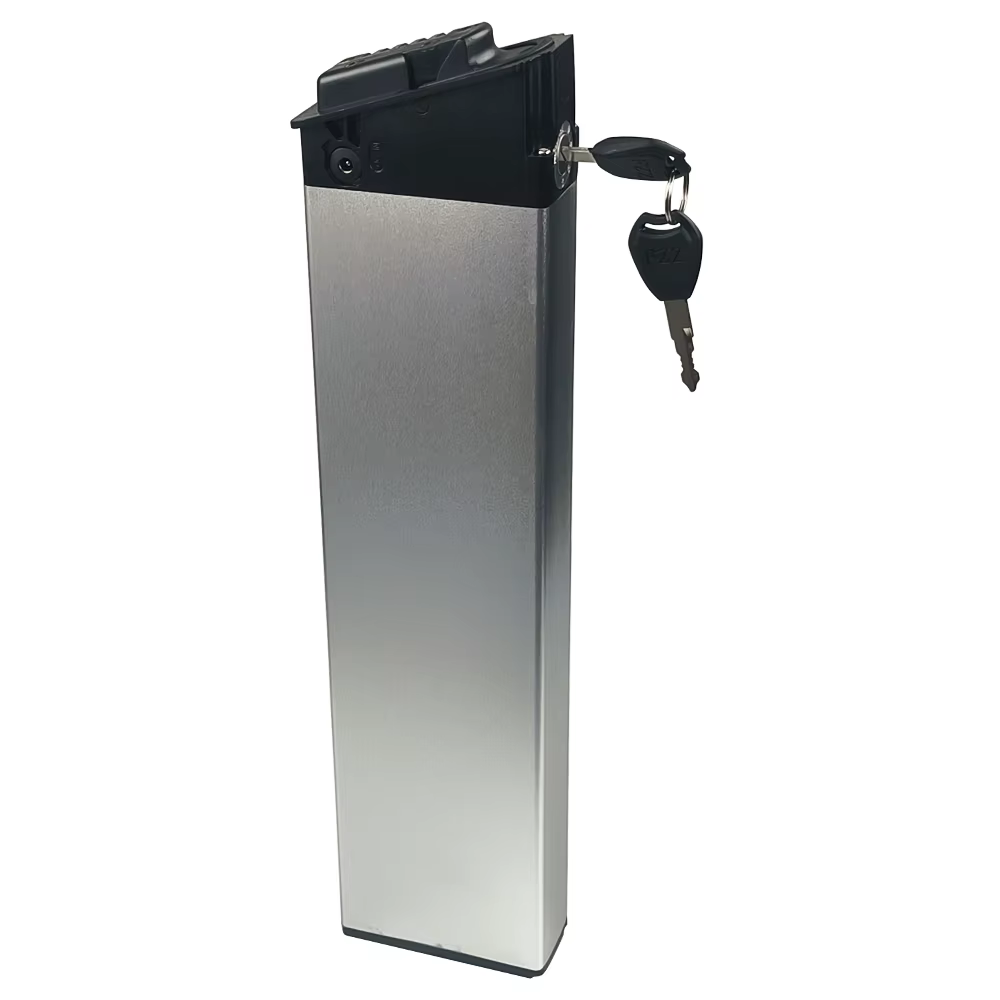 Batterie Mx21 36/48V 12