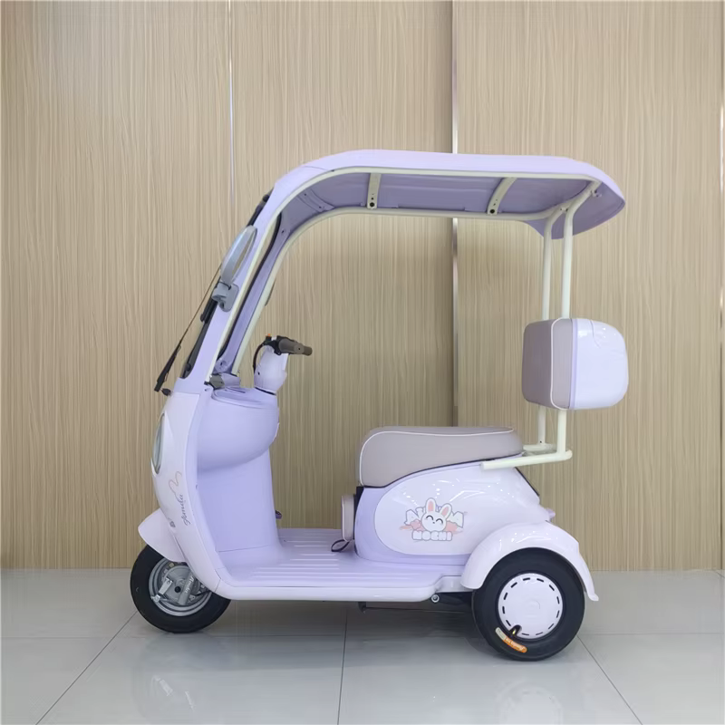 Tricycle électrique de loisirs à 3 roues 60V