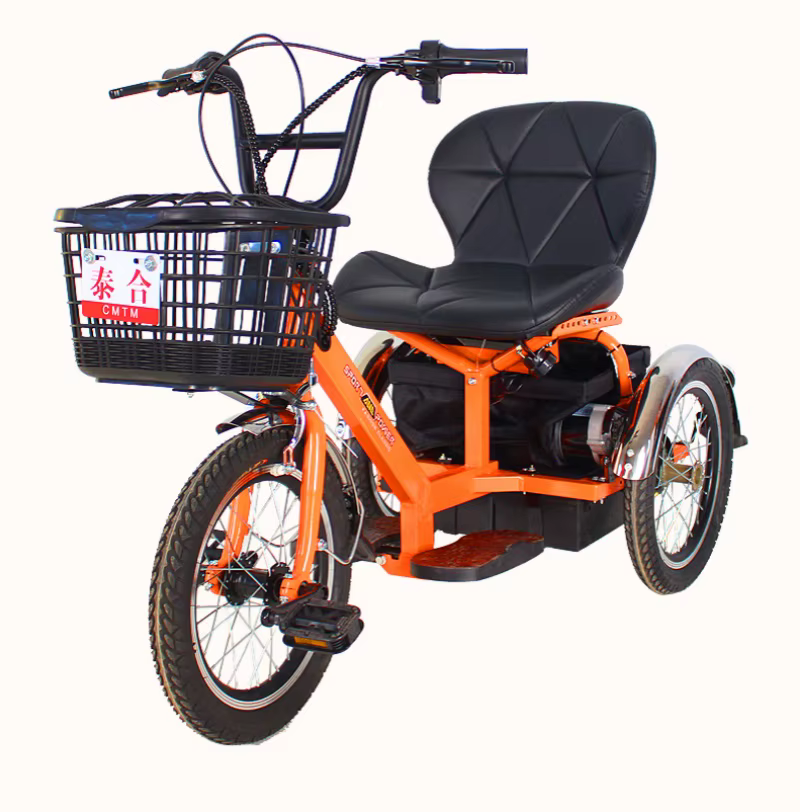 Mini vélo électrique à trois roues 250W 24V