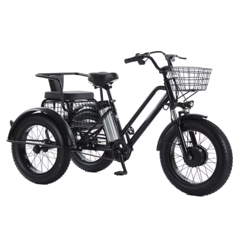 Tricycle électrique à 3 roues pour adultes