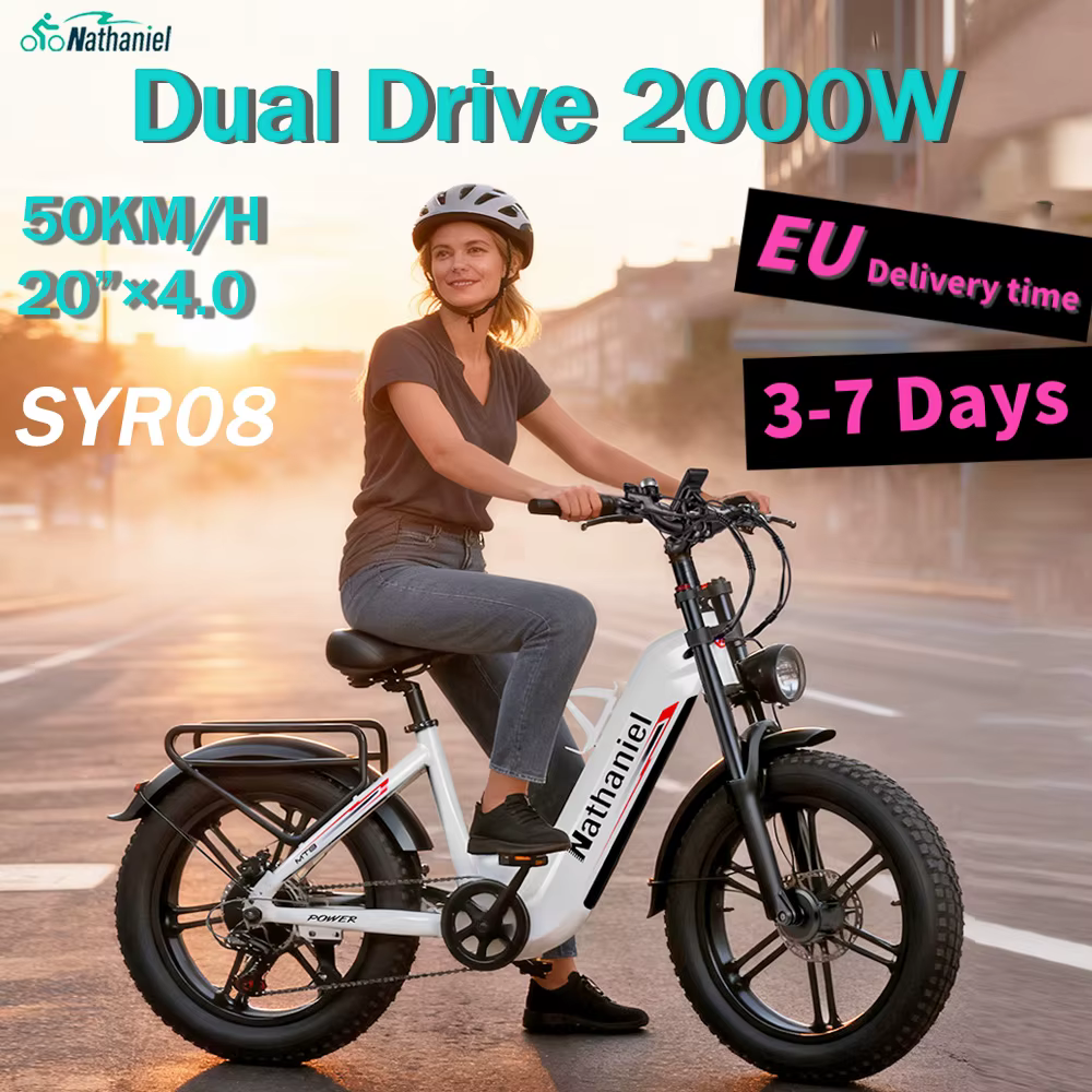 Vélo électrique adulte Nathaniel SYR08