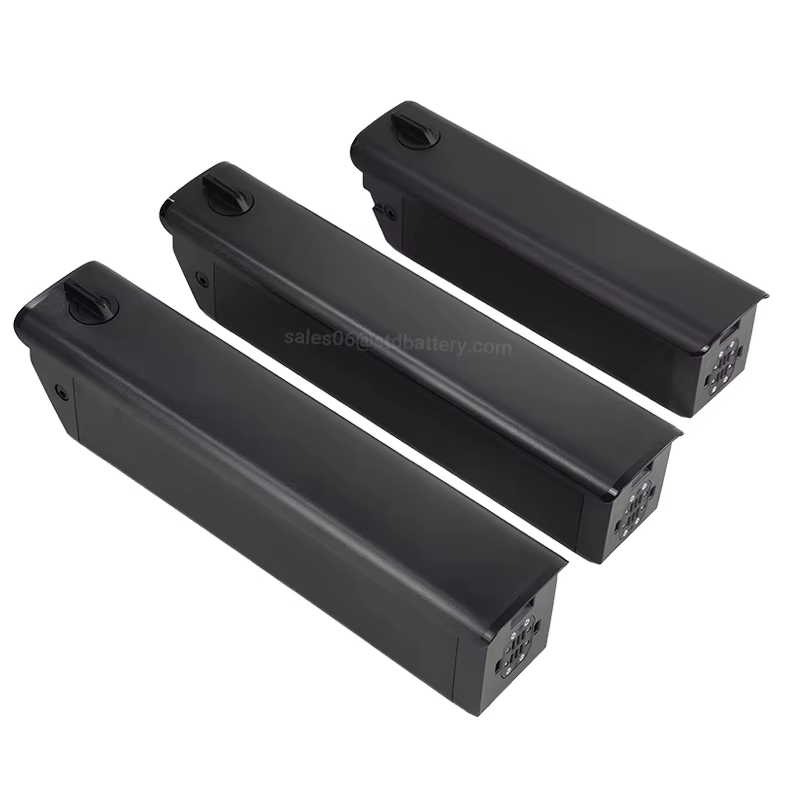 Batterie 48V bal 37Eddie Ion 18650 pour vélo électrique
