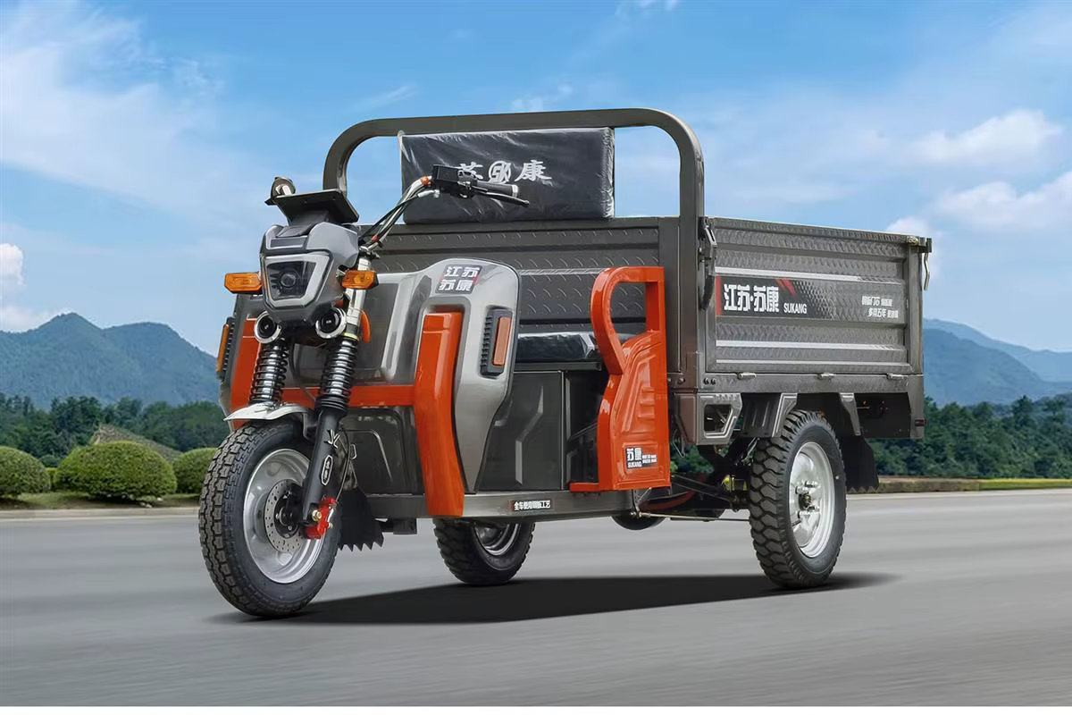 Tricycle électrique de transport robuste 2000W