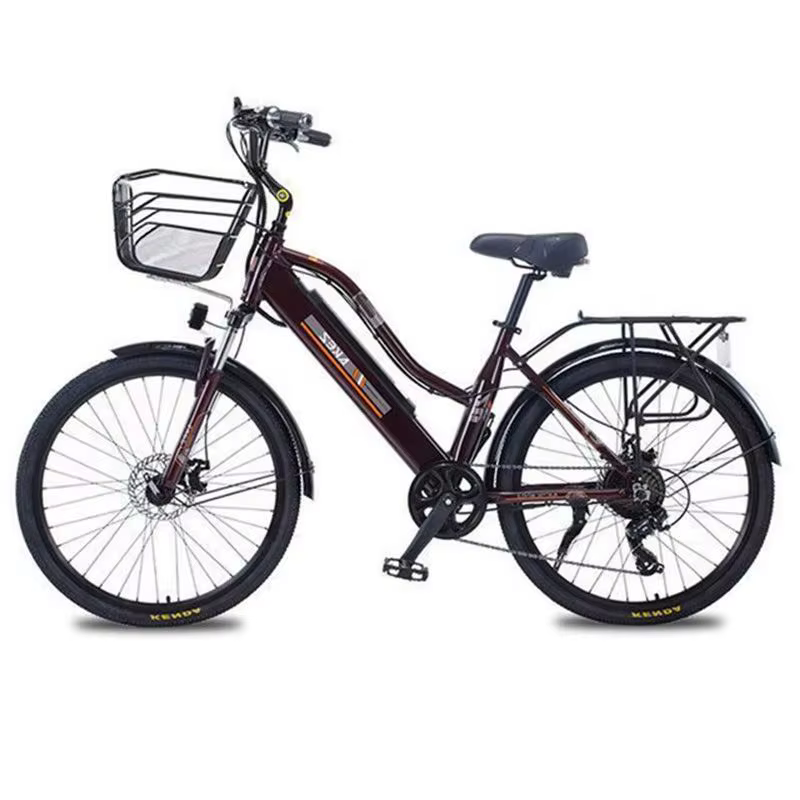 Vélo électrique adulte 2 places 26 pouces 350W 36V