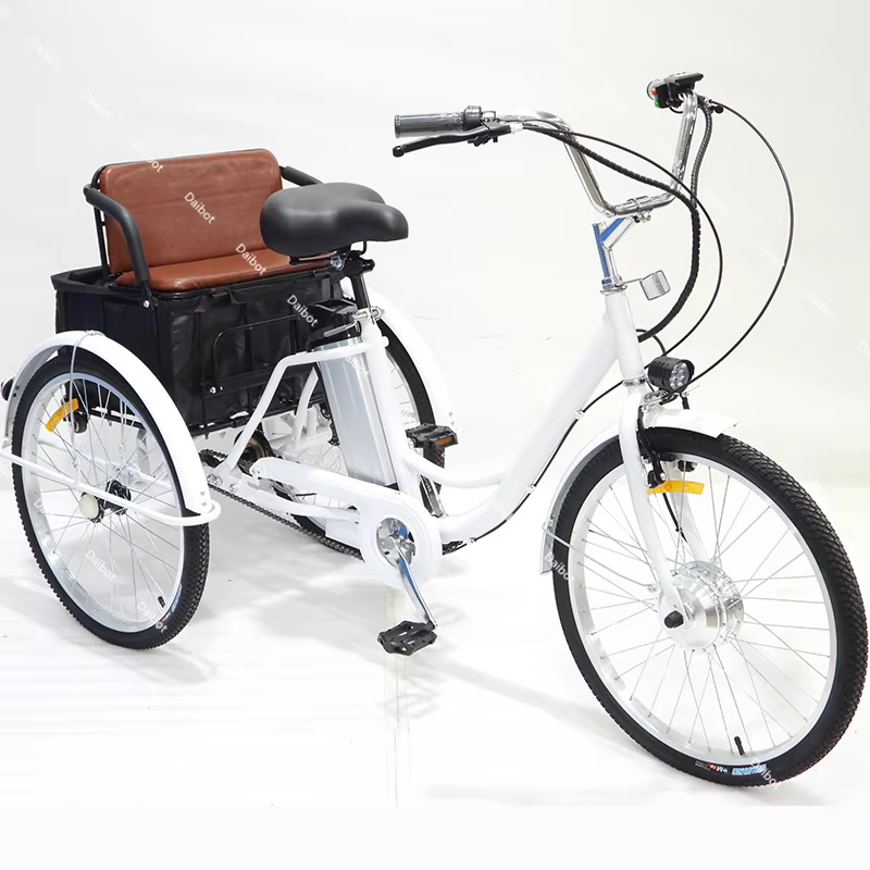 Vélo électrique Cargo à trois roues pour adulte avec panier 350W 36V