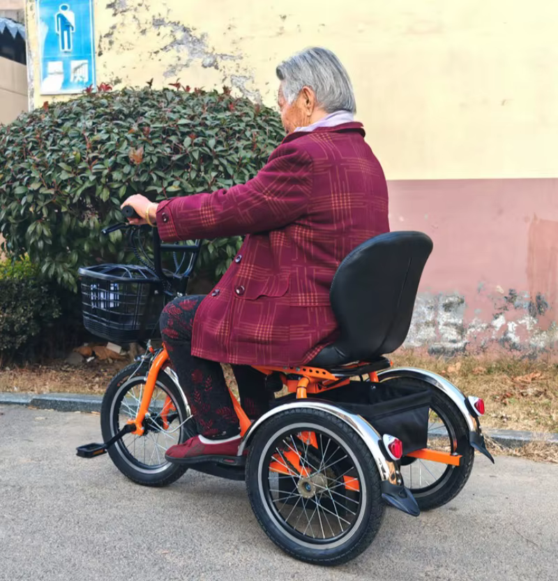 Mini vélo électrique à trois roues 250W 24V