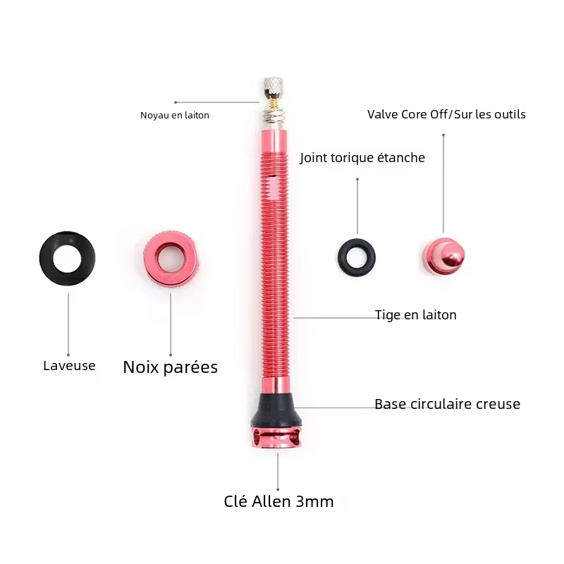 Valve Presta pour vélo sans chambre à air