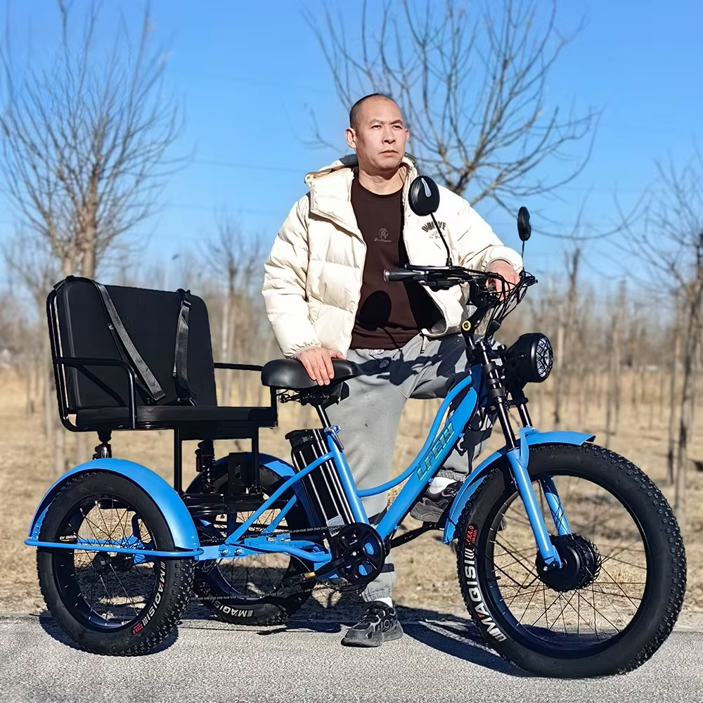 Tricycle électrique à pneus larges de 24 pouces