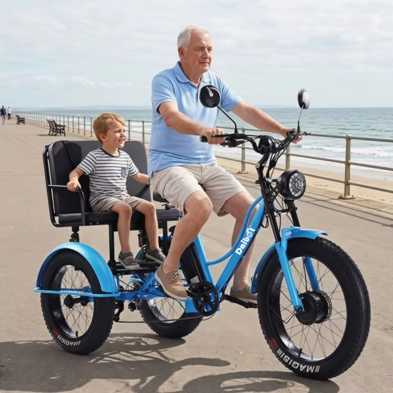 Tricycle électrique Cargo gros vélo pour deux personnes 2 places 750W 48V hors route puissant